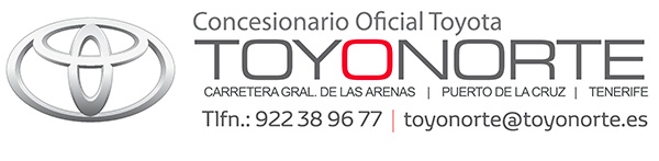 Logo toyonorte